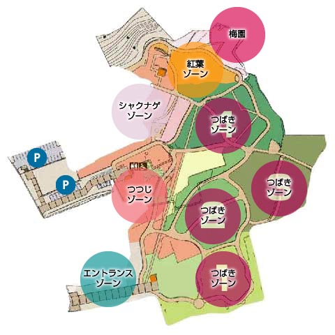 つばき園ナビ
